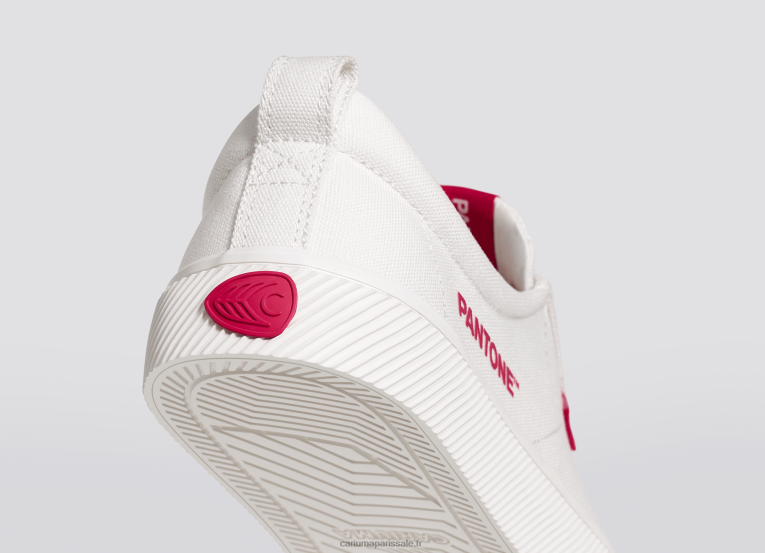 Hommes D8FT39 toile pantone blanc cassé/viva magenta Cariuma