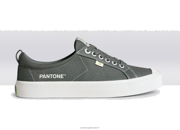Hommes D8FT40 toile pantone gargouille gris Cariuma
